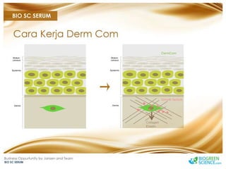 Biogreen Presentation J Team Final New Low Res