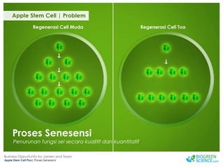 Biogreen Presentation J Team Final New Low Res