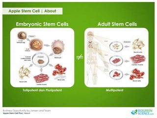 Biogreen Presentation J Team Final New Low Res