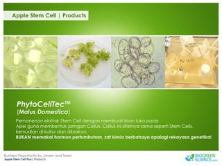 Biogreen Presentation J Team Final New Low Res