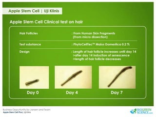 Biogreen Presentation J Team Final New Low Res