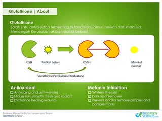 Biogreen Presentation J Team Final New Low Res