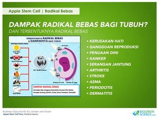 Biogreen Presentation J Team Final New Low Res
