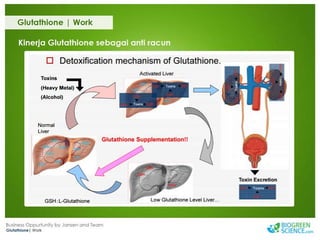 Biogreen Presentation J Team Final New Low Res