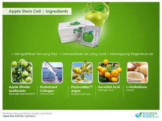 Biogreen Presentation J Team Final New Low Res