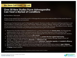 Biogreen Presentation J Team Final New Low Res