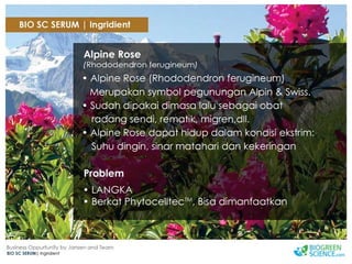 Biogreen Presentation J Team Final New Low Res