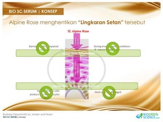 Biogreen Presentation J Team Final New Low Res