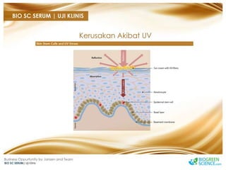Biogreen Presentation J Team Final New Low Res