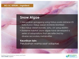 Biogreen Presentation J Team Final New Low Res