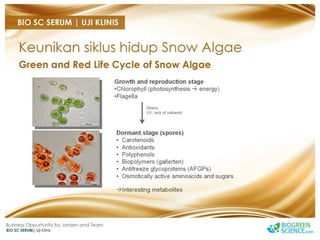 Biogreen Presentation J Team Final New Low Res