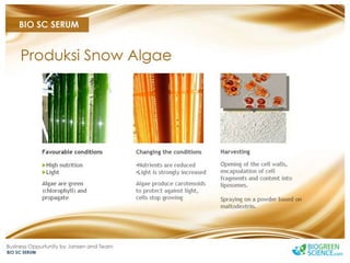 Biogreen Presentation J Team Final New Low Res