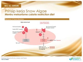 Biogreen Presentation J Team Final New Low Res