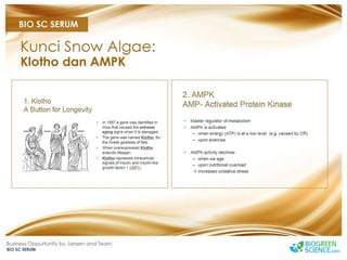 Biogreen Presentation J Team Final New Low Res