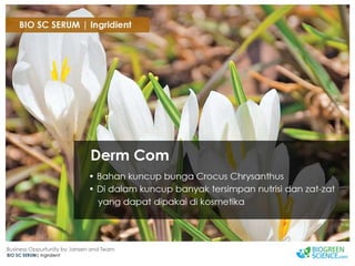 Biogreen Presentation J Team Final New Low Res