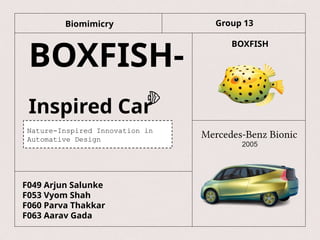 box fish biomimicry Scribbled Boxfish: Female  Sea Dwelling Creatures BiomimicryNYC Design, Materials and Architecture