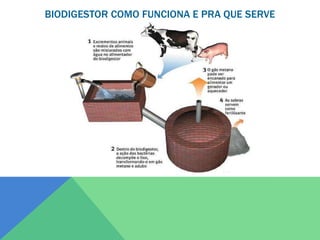 BIODIGESTOR COMO FUNCIONA E PRA QUE SERVE
 