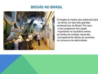 BIOGÁS NO BRASIL
O biogás já mostra seu potencial para
se tornar um dos três grandes
combustíveis do Brasil. Por isso,
o seu progresso tem papel
importante no equilíbrio entres
as fontes de energia nacionais,
principalmente diante do aumento
no consumo de eletricidade.
 