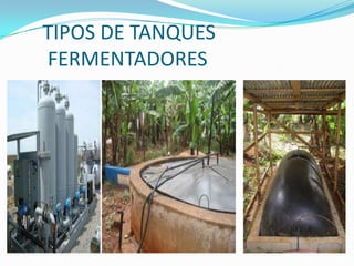      TIPOS DE TANQUES      FERMENTADORES