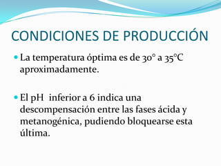 CONDICIONES DE PRODUCCIÓNLa temperatura óptima es de 30° a 35°C aproximadamente. El pH  inferior a 6 indica una descompensación entre las fases ácida y metanogénica, pudiendo bloquearse esta última.