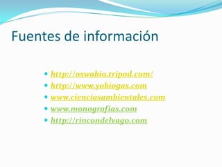 Fuentes de informaciónhttp://oswabio.tripod.com/http://www.yobiogas.comwww.cienciasambientales.comwww.monografias.com http://rincondelvago.com