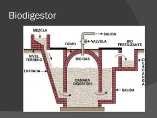 Biodigestor 