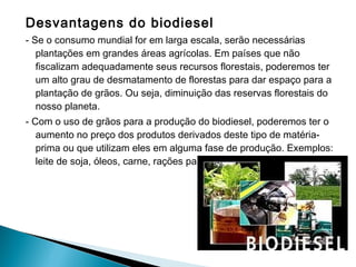 Desvantagens do biodiesel
- Se o consumo mundial for em larga escala, serão necessárias
plantações em grandes áreas agrícolas. Em países que não
fiscalizam adequadamente seus recursos florestais, poderemos ter
um alto grau de desmatamento de florestas para dar espaço para a
plantação de grãos. Ou seja, diminuição das reservas florestais do
nosso planeta.
- Com o uso de grãos para a produção do biodiesel, poderemos ter o
aumento no preço dos produtos derivados deste tipo de matéria-
prima ou que utilizam eles em alguma fase de produção. Exemplos:
leite de soja, óleos, carne, rações para animais, ovos entre outros.
 