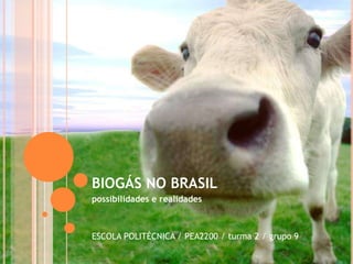 BIOGÁS NO BRASIL possibilidades e realidades ESCOLA POLITÉCNICA / PEA2200 / turma 2 / grupo 9 