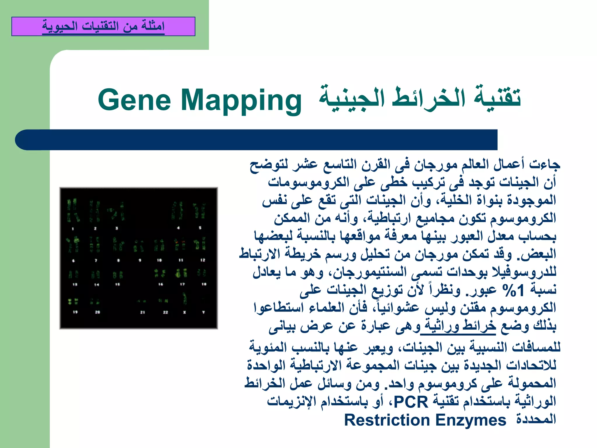 ‫الجينية‬ ‫الخرائط‬ ‫تقنية‬Gene Mapping
‫لتوضح‬ ‫عشر‬ ‫التاسع‬ ‫القرن‬ ‫فى‬ ‫مورجان‬ ‫العالم‬ ‫أعمال‬ ‫جاءت‬
‫الكروموسومات‬ ‫على‬ ‫خطى‬ ‫تركيب‬ ‫فى‬ ‫توجد‬ ‫الجينات‬ ‫أن‬
‫الخلية‬ ‫بنواة‬ ‫الموجودة‬,‫نفس‬ ‫على‬ ‫تقع‬ ‫التى‬ ‫الجينات‬ ‫وأن‬
‫ارتباطية‬ ‫مجاميع‬ ‫تكون‬ ‫الكروموسوم‬,‫الممكن‬ ‫من‬ ‫وأنه‬
‫لبعضها‬ ‫بالنسبة‬ ‫مواقعها‬ ‫معرفة‬ ‫بينها‬ ‫العبور‬ ‫معدل‬ ‫بحساب‬
‫البعض‬.‫االرتباط‬ ‫خريطة‬ ‫ورسم‬ ‫تحليل‬ ‫من‬ ‫مورجان‬ ‫تمكن‬ ‫وقد‬
‫السنتيمورجان‬ ‫تسمى‬ ‫بوحدات‬ ‫للدروسوفيال‬,‫يعادل‬ ‫ما‬ ‫وهو‬
‫نسبة‬1%‫عبور‬.‫على‬ ‫الجينات‬ ‫توزيع‬ ‫ألن‬ ‫ونظرا‬
‫عشوائيا‬ ‫وليس‬ ‫مقنن‬ ‫الكروموسوم‬,‫استطاعوا‬ ‫العلماء‬ ‫فأن‬
‫وضع‬ ‫بذلك‬‫وراثية‬ ‫خرائط‬‫بيانى‬ ‫عرض‬ ‫عن‬ ‫عبارة‬ ‫وهى‬
‫الجينات‬ ‫بين‬ ‫النسبية‬ ‫للمسافات‬,‫المئوية‬ ‫بالنسب‬ ‫عنها‬ ‫ويعبر‬
‫الواحدة‬ ‫االرتباطية‬ ‫المجموعة‬ ‫جينات‬ ‫بين‬ ‫الجديدة‬ ‫لالتحادات‬
‫واحد‬ ‫كروموسوم‬ ‫على‬ ‫المحمولة‬.‫الخرائط‬ ‫عمل‬ ‫وسائل‬ ‫ومن‬
‫تقنية‬ ‫باستخدام‬ ‫الوراثية‬PCR,‫اإلنزيمات‬ ‫باستخدام‬ ‫أو‬
‫المحددة‬Restriction Enzymes
‫الحيوية‬ ‫التقنيات‬ ‫من‬ ‫امثلة‬
 