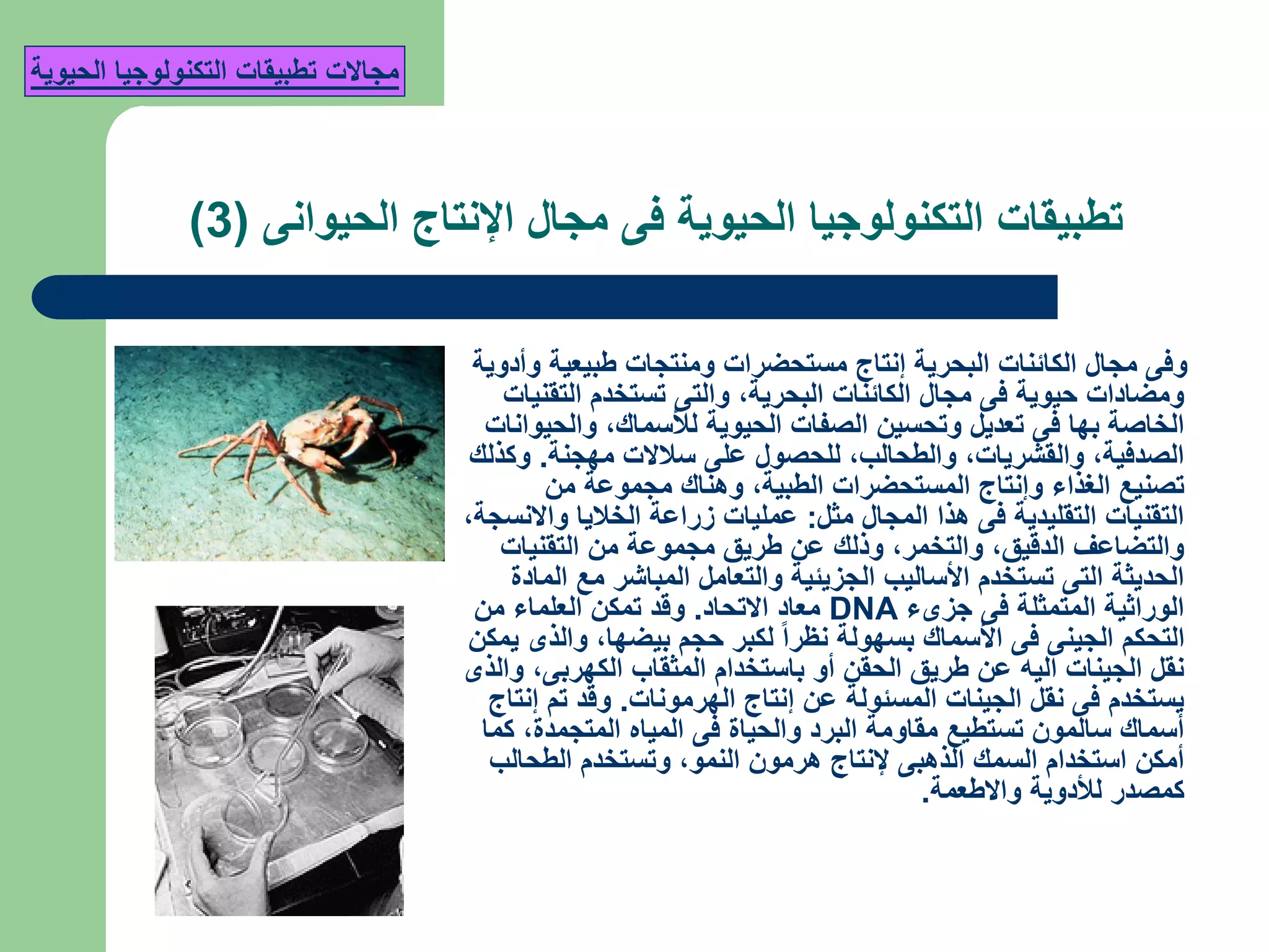 ‫مجال‬ ‫فى‬ ‫الحيوية‬ ‫التكنولوجيا‬ ‫تطبيقات‬‫الحيوانى‬ ‫اإلنتاج‬(3)
‫البحرية‬ ‫الكائنات‬ ‫مجال‬ ‫وفى‬‫وأدوية‬ ‫طبيعية‬ ‫ومنتجات‬ ‫مستحضرات‬ ‫إنتاج‬
‫البحرية‬ ‫الكائنات‬ ‫مجال‬ ‫فى‬ ‫حيوية‬ ‫ومضادات‬,‫التقنيات‬ ‫تستخدم‬ ‫والتى‬
‫لألسماك‬ ‫الحيوية‬ ‫الصفات‬ ‫وتحسين‬ ‫تعديل‬ ‫فى‬ ‫بها‬ ‫الخاصة‬,‫والحيوانات‬
‫الصدفية‬,‫والقشريات‬,‫والطحالب‬,‫مهجنة‬ ‫سالالت‬ ‫على‬ ‫للحصول‬.‫وكذلك‬
‫الطبية‬ ‫المستحضرات‬ ‫وإنتاج‬ ‫الغذاء‬ ‫تصنيع‬,‫من‬ ‫مجموعة‬ ‫وهناك‬
‫مثل‬ ‫المجال‬ ‫هذا‬ ‫فى‬ ‫التقليدية‬ ‫التقنيات‬:‫واالنسجة‬ ‫الخاليا‬ ‫زراعة‬ ‫عمليات‬,
‫الدقيق‬ ‫والتضاعف‬,‫والتخمر‬,‫التقنيات‬ ‫من‬ ‫مجموعة‬ ‫طريق‬ ‫عن‬ ‫وذلك‬
‫المادة‬ ‫مع‬ ‫المباشر‬ ‫والتعامل‬ ‫الجزيئية‬ ‫األساليب‬ ‫تستخدم‬ ‫التى‬ ‫الحديثة‬
‫جزىء‬ ‫فى‬ ‫المتمثلة‬ ‫الوراثية‬DNA‫االتحاد‬ ‫معاد‬.‫من‬ ‫العلماء‬ ‫تمكن‬ ‫وقد‬
‫بيضها‬ ‫حجم‬ ‫لكبر‬ ‫نظرا‬ ‫بسهولة‬ ‫األسماك‬ ‫فى‬ ‫الجينى‬ ‫التحكم‬,‫يمكن‬ ‫والذى‬
‫الكهربى‬ ‫المثقاب‬ ‫باستخدام‬ ‫أو‬ ‫الحقن‬ ‫طريق‬ ‫عن‬ ‫اليه‬ ‫الجينات‬ ‫نقل‬,‫والذى‬
‫الهرمونات‬ ‫إنتاج‬ ‫عن‬ ‫المسئولة‬ ‫الجينات‬ ‫نقل‬ ‫فى‬ ‫يستخدم‬.‫إنتاج‬ ‫تم‬ ‫وقد‬
‫المتجمدة‬ ‫المياه‬ ‫فى‬ ‫والحياة‬ ‫البرد‬ ‫مقاومة‬ ‫تستطيع‬ ‫سالمون‬ ‫أسماك‬,‫كما‬
‫النمو‬ ‫هرمون‬ ‫إلنتاج‬ ‫الذهبى‬ ‫السمك‬ ‫استخدام‬ ‫أمكن‬,‫الطحالب‬ ‫وتستخدم‬
‫واالطعمة‬ ‫لألدوية‬ ‫كمصدر‬.
‫مجاالت‬‫الحيوية‬ ‫التكنولوجيا‬ ‫تطبيقات‬
 