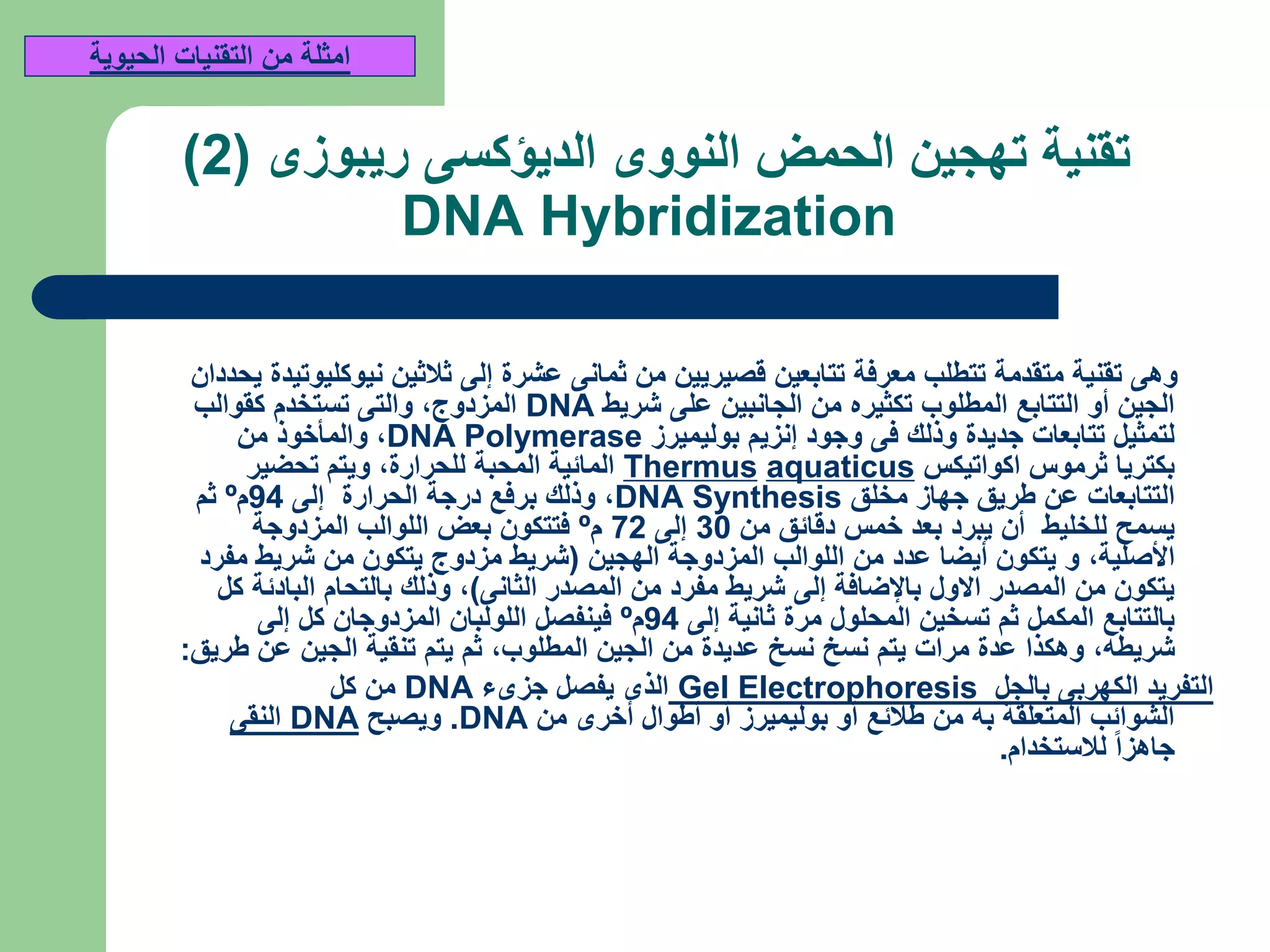 ‫ريبوزى‬ ‫الديؤكسى‬ ‫النووى‬ ‫الحمض‬ ‫تهجين‬ ‫تقنية‬(2)
DNA Hybridization
‫يحددان‬ ‫نيوكليوتيدة‬ ‫ثالثين‬ ‫إلى‬ ‫عشرة‬ ‫ثمانى‬ ‫من‬ ‫قصيريين‬ ‫تتابعين‬ ‫معرفة‬ ‫تتطلب‬ ‫متقدمة‬ ‫تقنية‬ ‫وهى‬
‫شريط‬ ‫على‬ ‫الجانبين‬ ‫من‬ ‫تكثيره‬ ‫المطلوب‬ ‫التتابع‬ ‫أو‬ ‫الجين‬DNA‫المزدوج‬,‫كقوالب‬ ‫تستخدم‬ ‫والتى‬
‫بوليميرز‬ ‫إنزيم‬ ‫وجود‬ ‫فى‬ ‫وذلك‬ ‫جديدة‬ ‫تتابعات‬ ‫لتمثيل‬DNA Polymerase,‫من‬ ‫والمأخوذ‬
‫اكواتيكس‬ ‫ثرموس‬ ‫بكتريا‬aquaticusThermus‫للحرارة‬ ‫المحبة‬ ‫المائية‬,‫تحضير‬ ‫ويتم‬
‫مخلق‬ ‫جهاز‬ ‫طريق‬ ‫عن‬ ‫التتابعات‬DNA Synthesis,‫إلى‬ ‫الحرارة‬ ‫درجة‬ ‫برفع‬ ‫وذلك‬94‫م‬º‫ثم‬
‫من‬ ‫دقائق‬ ‫خمس‬ ‫بعد‬ ‫يبرد‬ ‫أن‬ ‫للخليط‬ ‫يسمح‬30‫إلى‬72‫م‬º‫المزدوجة‬ ‫اللوالب‬ ‫بعض‬ ‫فتتكون‬
‫األصلية‬,‫الهجين‬ ‫المزدوجة‬ ‫اللوالب‬ ‫من‬ ‫عدد‬ ‫أيضا‬ ‫يتكون‬ ‫و‬(‫مفرد‬ ‫شريط‬ ‫من‬ ‫يتكون‬ ‫مزدوج‬ ‫شريط‬
‫الثانى‬ ‫المصدر‬ ‫من‬ ‫مفرد‬ ‫شريط‬ ‫إلى‬ ‫باإلضافة‬ ‫االول‬ ‫المصدر‬ ‫من‬ ‫يتكون‬),‫كل‬ ‫البادئة‬ ‫بالتحام‬ ‫وذلك‬
‫إلى‬ ‫ثانية‬ ‫مرة‬ ‫المحلول‬ ‫تسخين‬ ‫ثم‬ ‫المكمل‬ ‫بالتتابع‬94‫م‬º‫إلى‬ ‫كل‬ ‫المزدوجان‬ ‫اللولبان‬ ‫فينفصل‬
‫شريطه‬,‫المطلوب‬ ‫الجين‬ ‫من‬ ‫عديدة‬ ‫نسخ‬ ‫نسخ‬ ‫يتم‬ ‫مرات‬ ‫عدة‬ ‫وهكذا‬,‫طريق‬ ‫عن‬ ‫الجين‬ ‫تنقية‬ ‫يتم‬ ‫ثم‬:
‫بالجل‬ ‫الكهربى‬ ‫التفريد‬Gel Electrophoresis‫جزىء‬ ‫يفصل‬ ‫الذى‬DNA‫كل‬ ‫من‬
‫من‬ ‫أخرى‬ ‫أطوال‬ ‫أو‬ ‫بوليميرز‬ ‫أو‬ ‫طالئع‬ ‫من‬ ‫به‬ ‫المتعلقة‬ ‫الشوائب‬DNA.‫ويصبح‬DNA‫النقى‬
‫لالستخدام‬ ً‫ا‬‫جاهز‬.
‫الحيوية‬ ‫التقنيات‬ ‫من‬ ‫امثلة‬
 