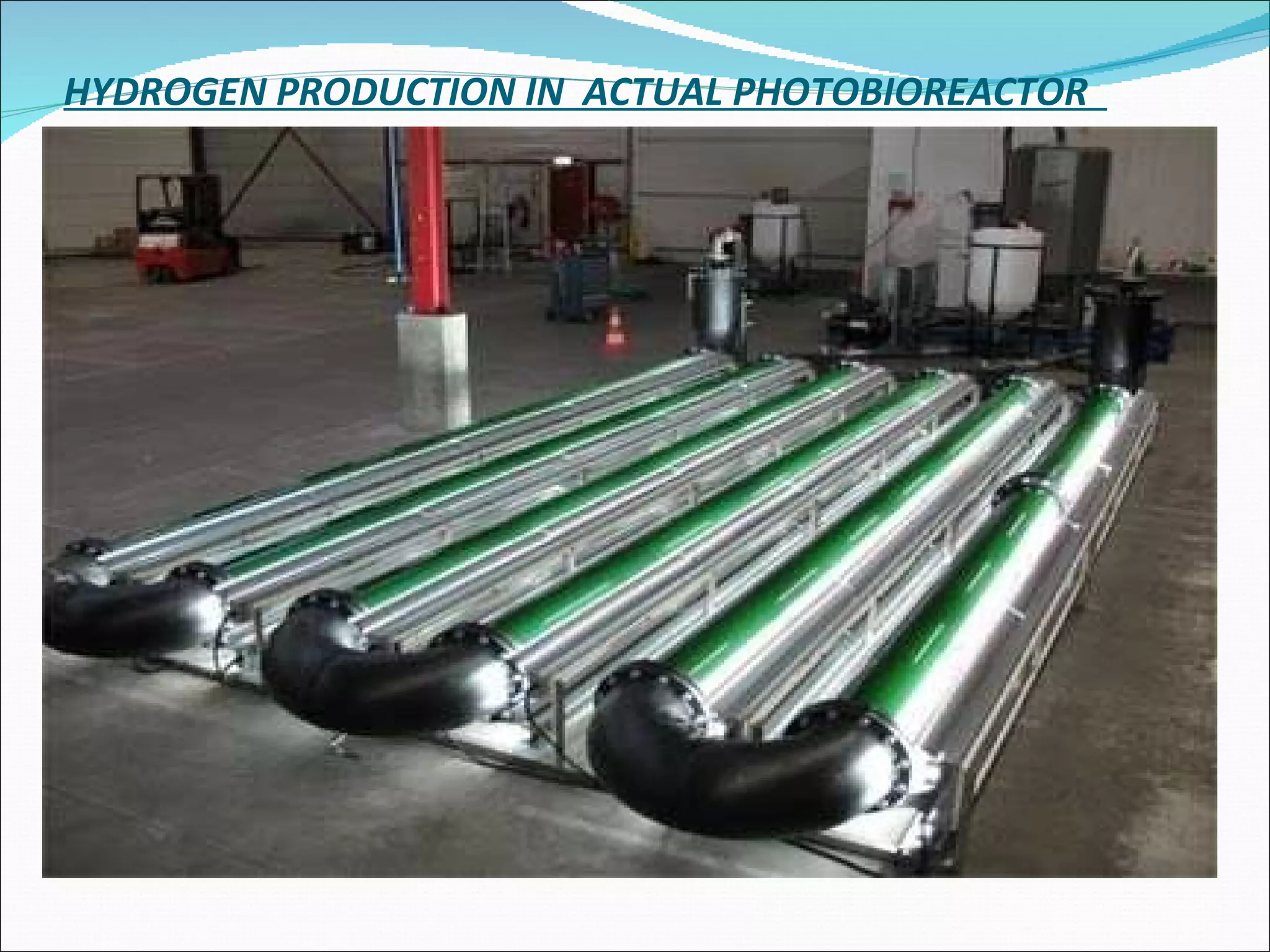 HYDROGEN PRODUCTION IN  ACTUAL PHOTOBIOREACTOR  