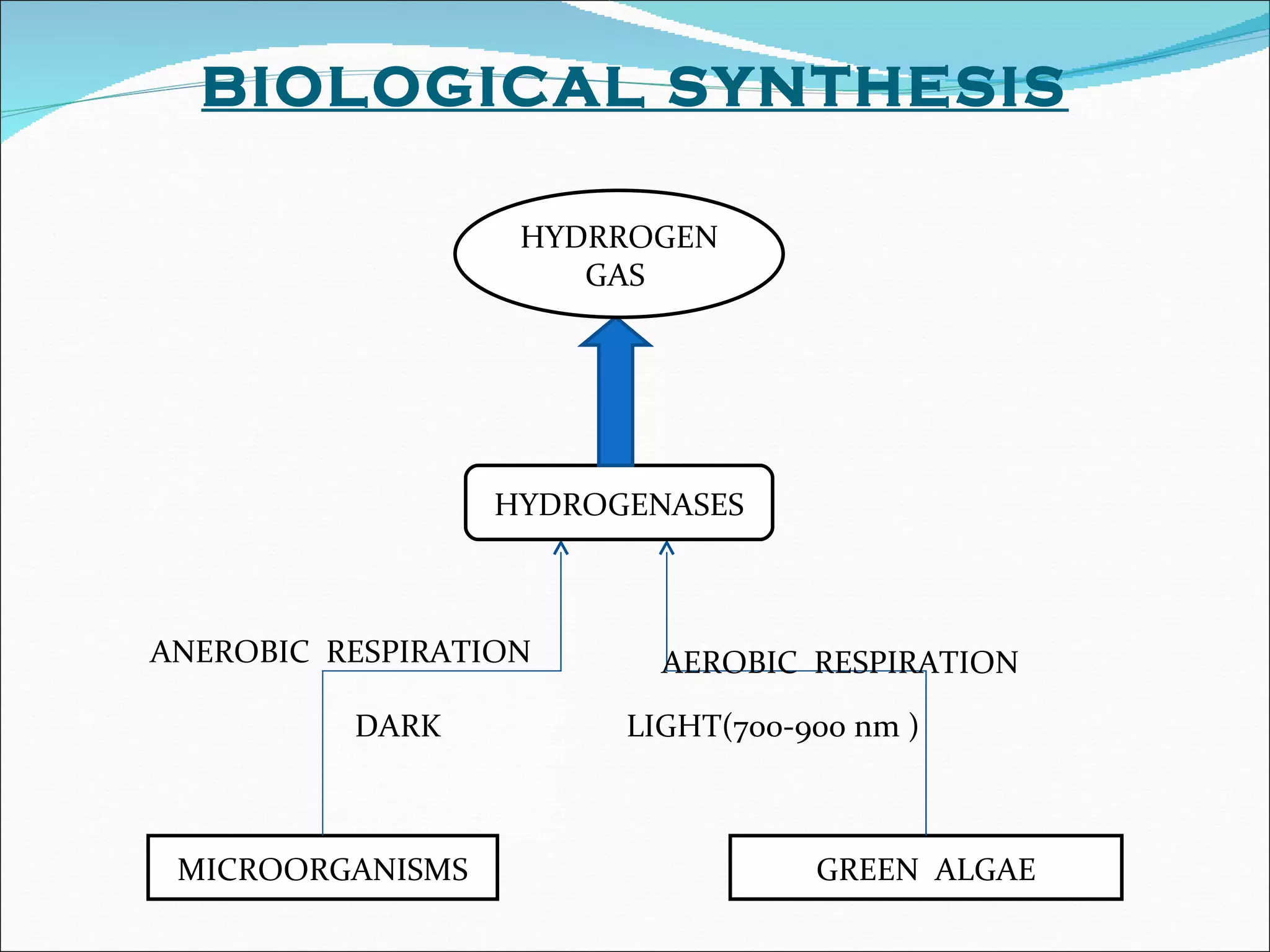 MICROORGANISMS GREEN  ALGAE ANEROBIC  RESPIRATION AEROBIC  RESPIRATION LIGHT(700-900 nm ) HYDROGENASES HYDRROGEN GAS  DARK BIOLOGICAL SYNTHESIS 