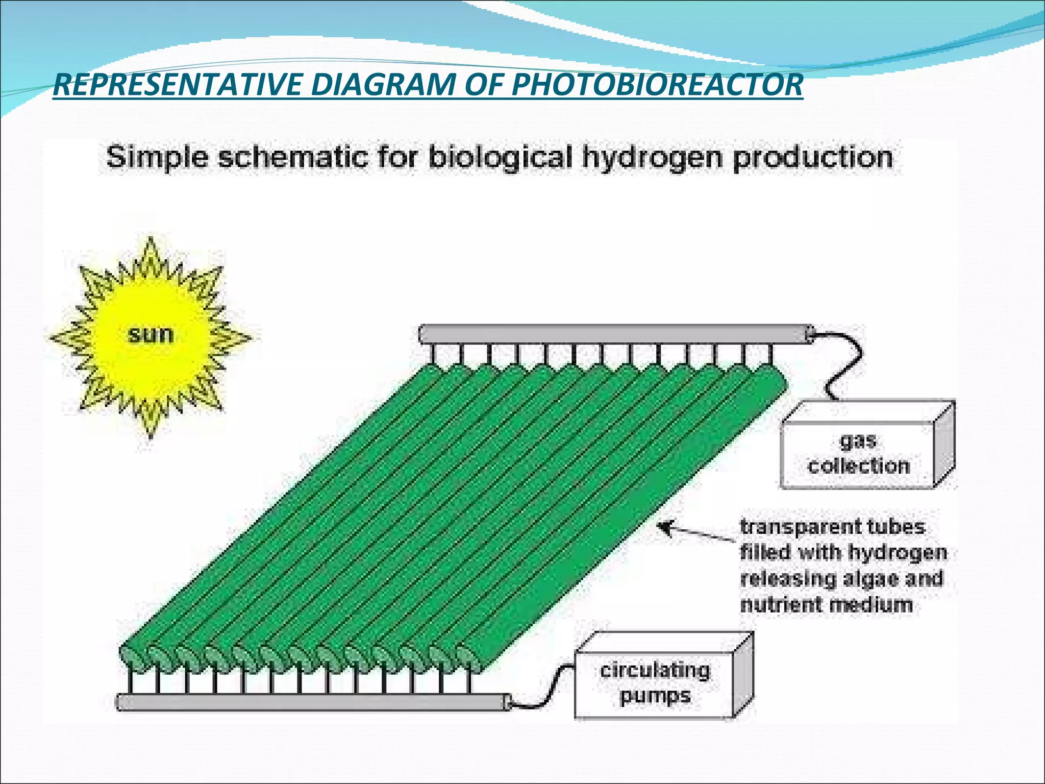 REPRESENTATIVE DIAGRAM OF PHOTOBIOREACTOR 