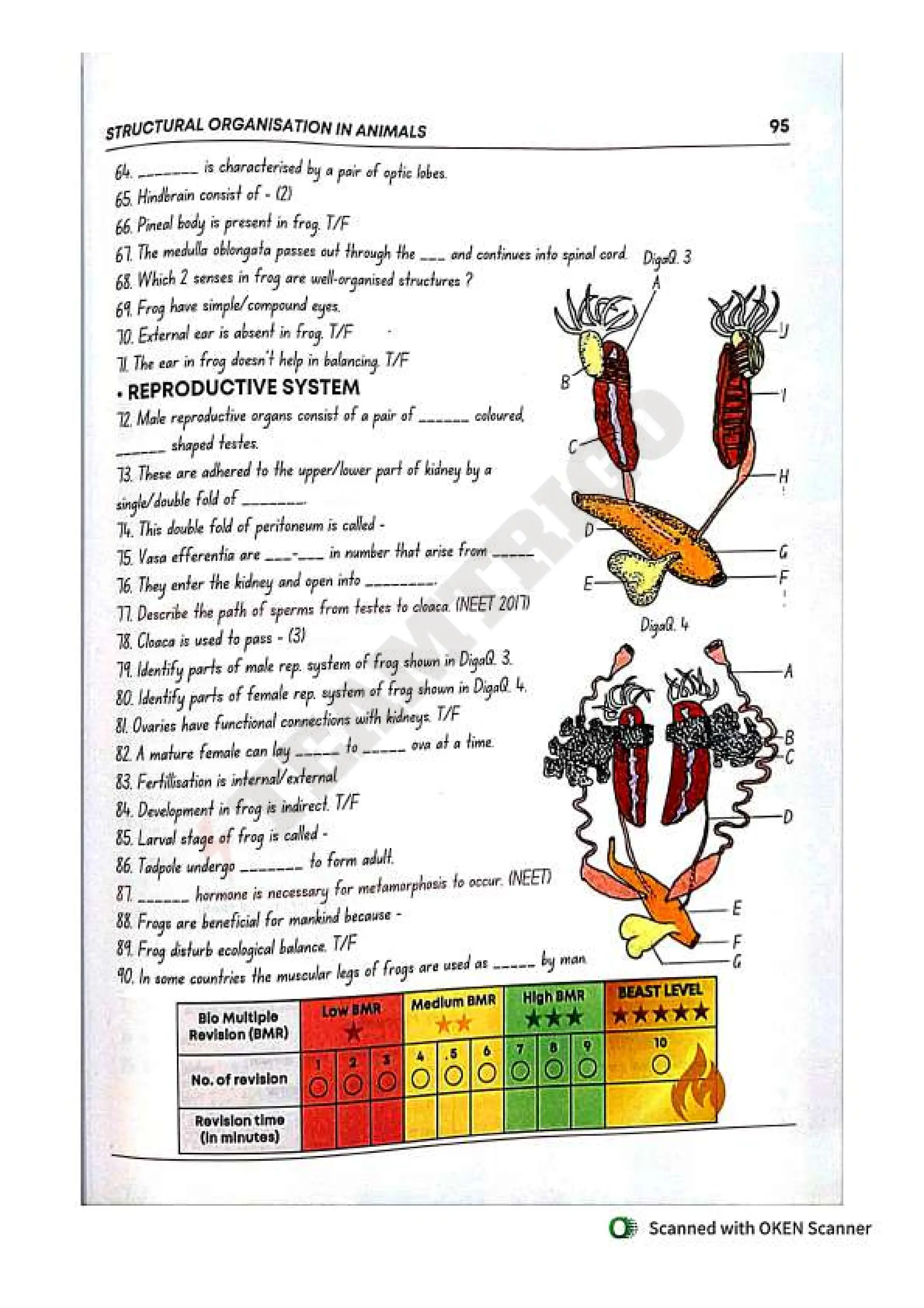 Biohack- class 11 and 12 NEET Parth Goyal