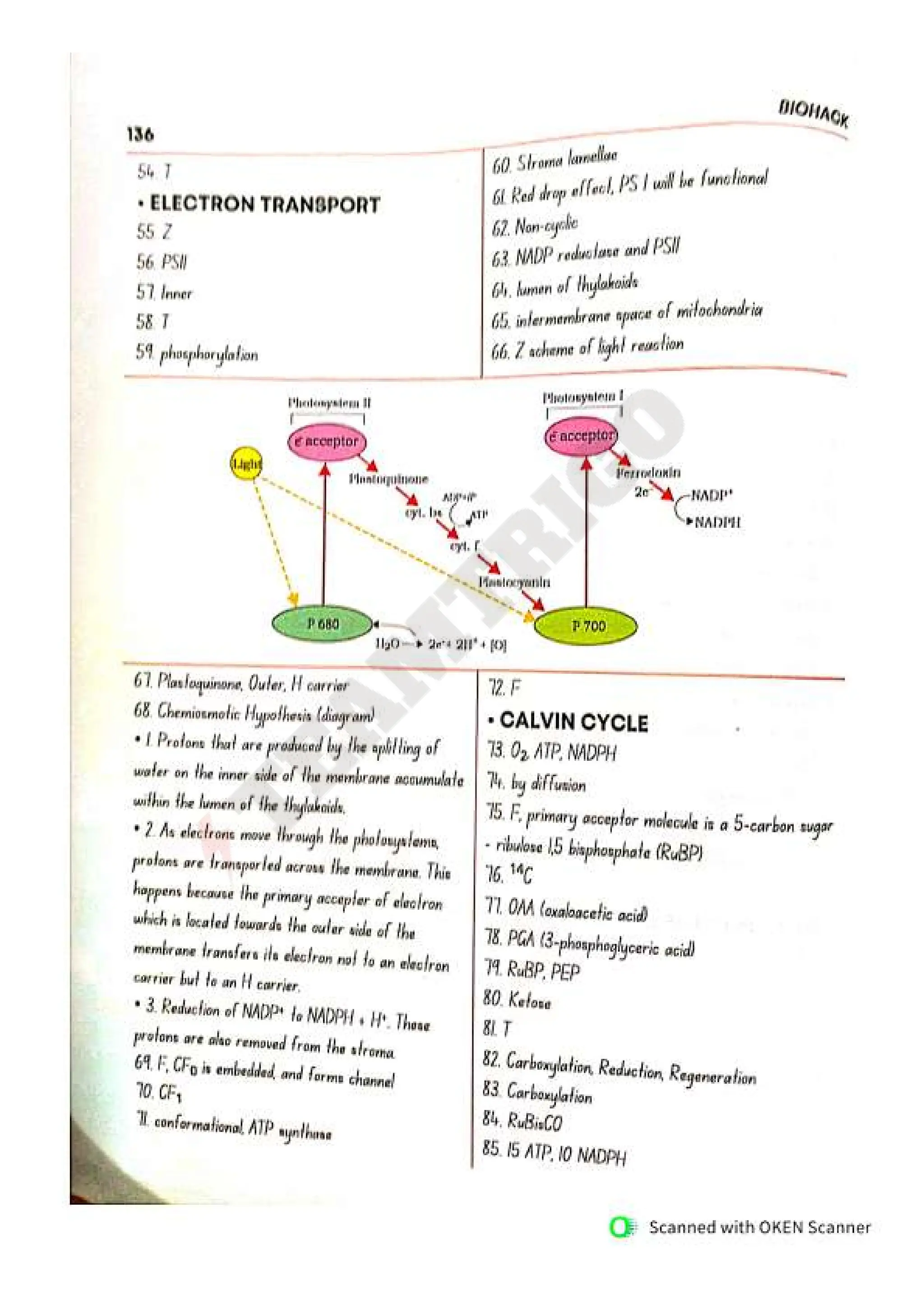 Biohack- class 11 and 12 NEET Parth Goyal