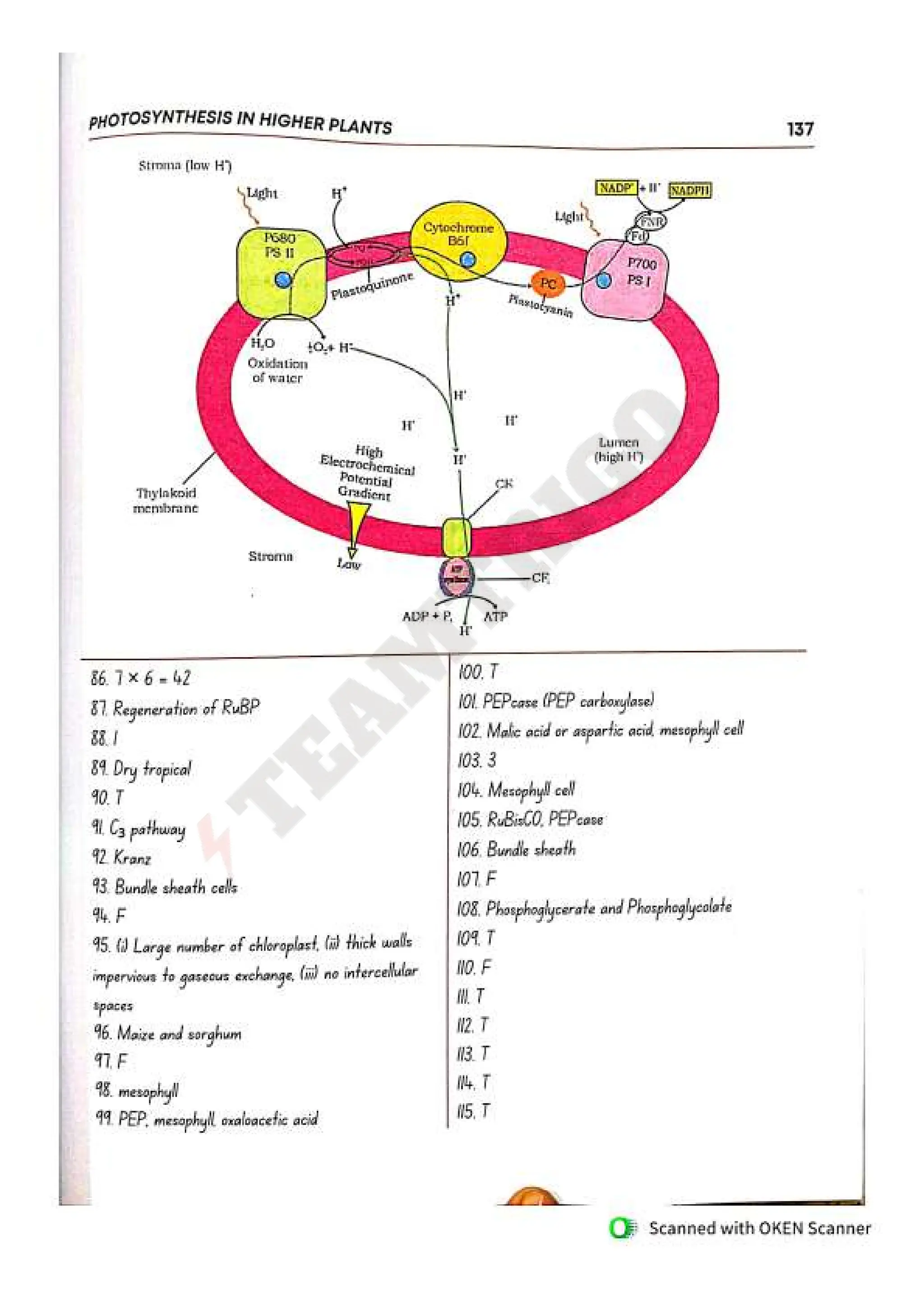 Biohack- class 11 and 12 NEET Parth Goyal