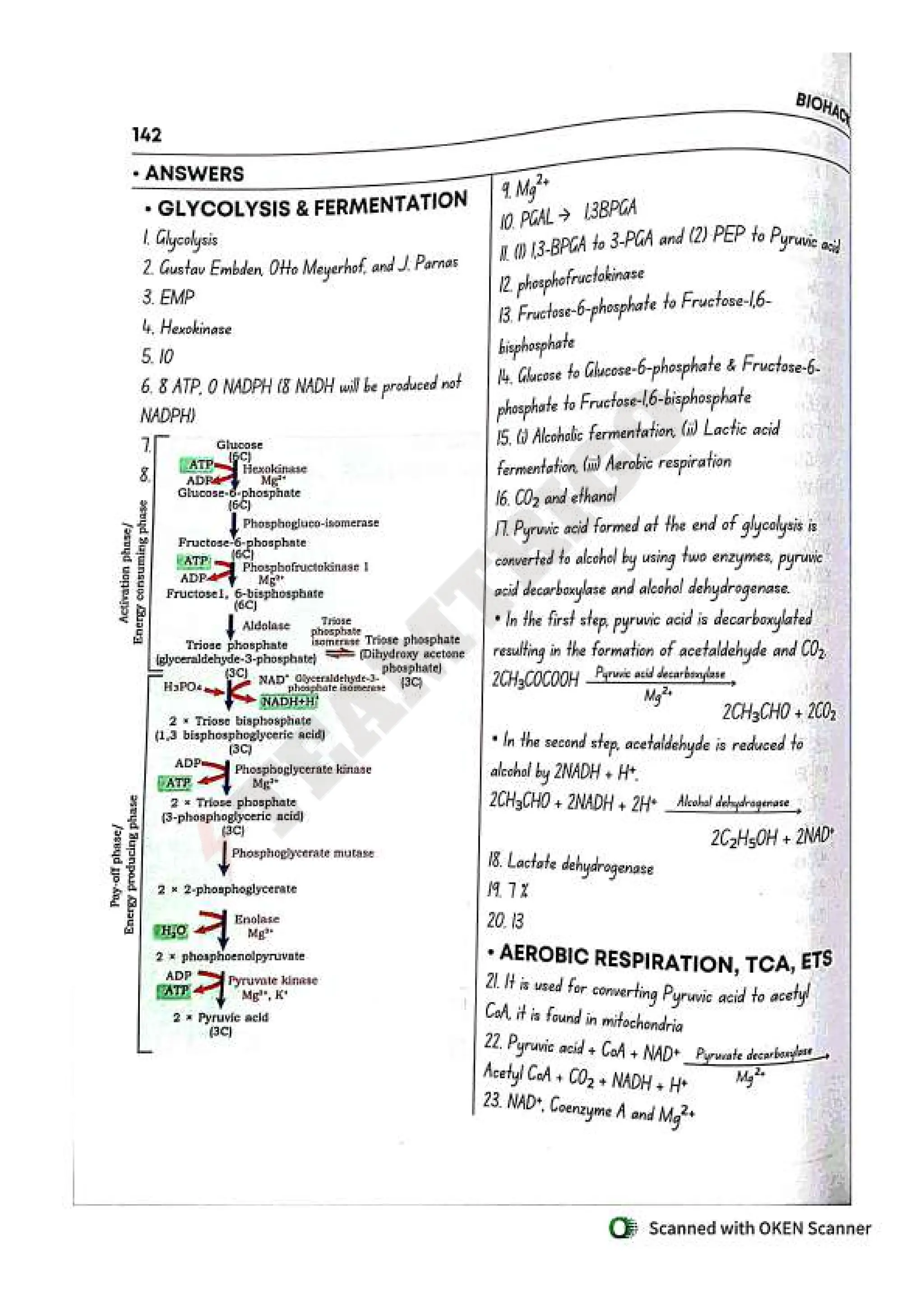 Biohack- class 11 and 12 NEET Parth Goyal