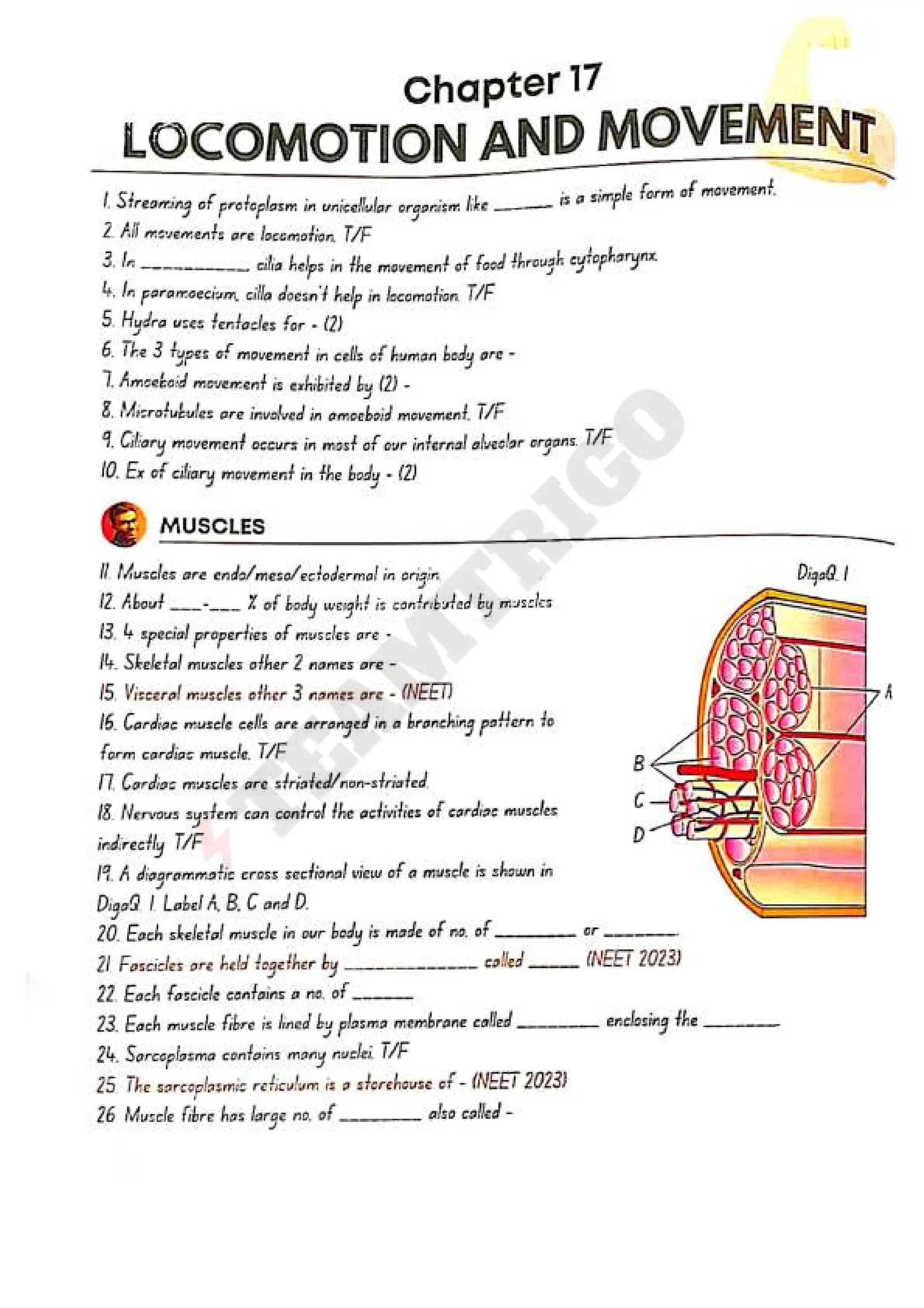 Biohack- class 11 and 12 NEET Parth Goyal