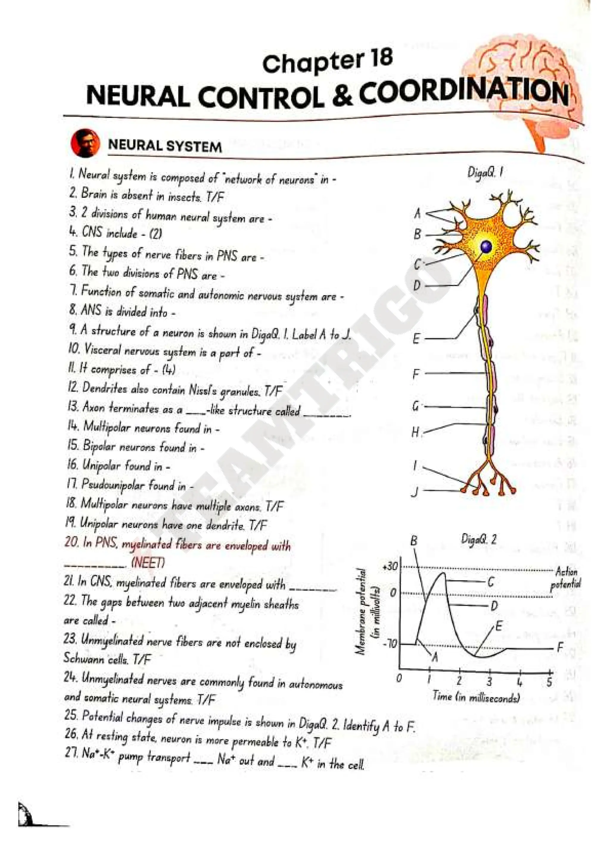 Biohack- class 11 and 12 NEET Parth Goyal