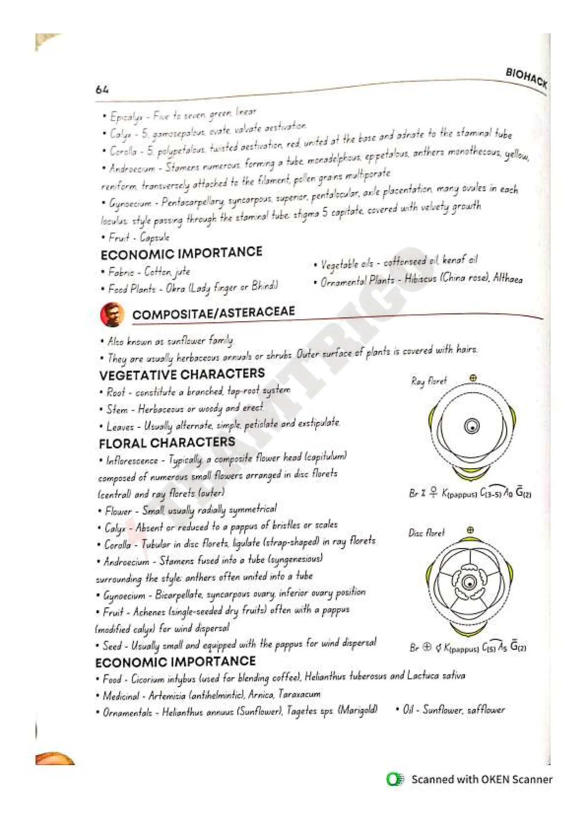 Biohack- class 11 and 12 NEET Parth Goyal