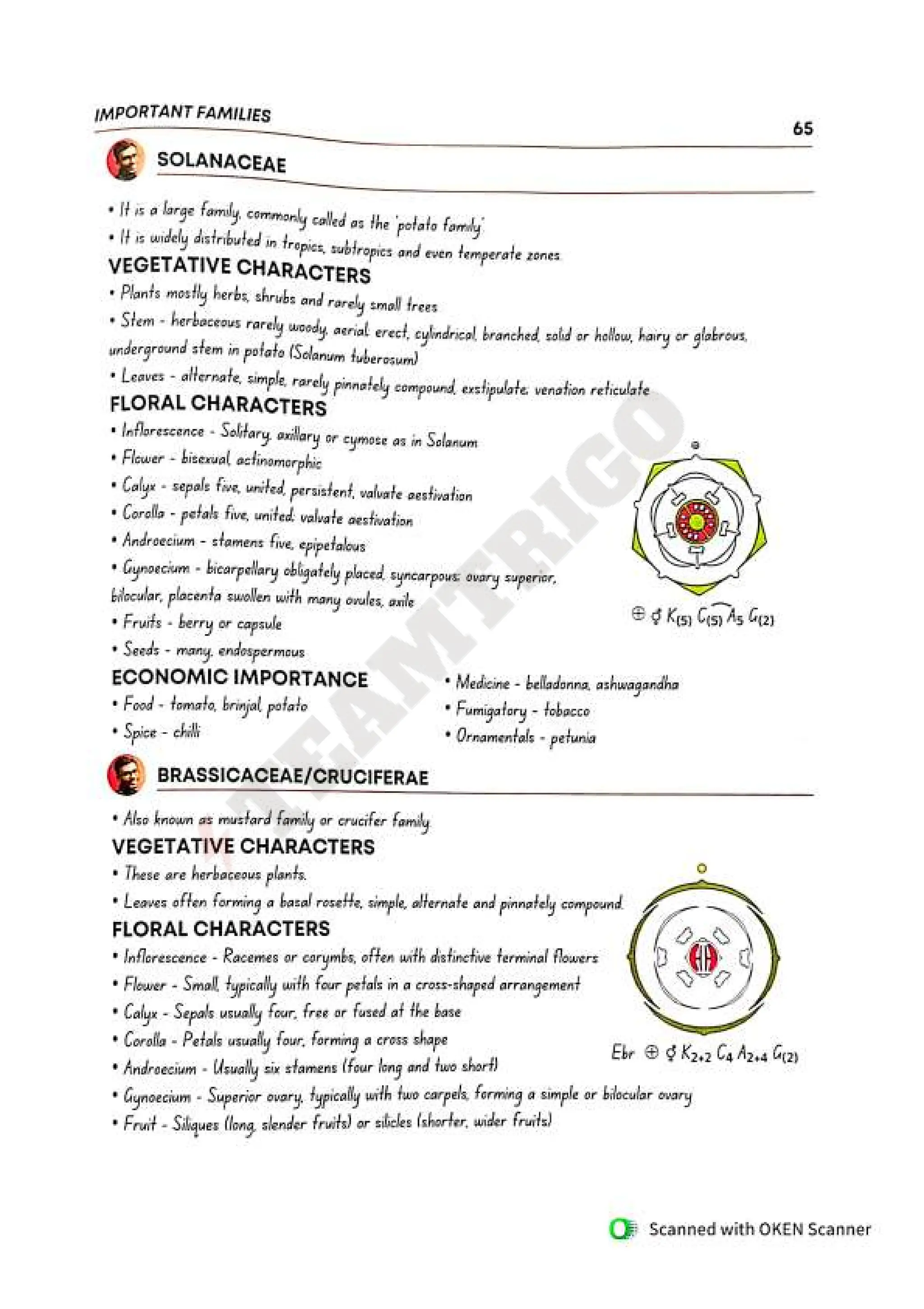 Biohack- class 11 and 12 NEET Parth Goyal