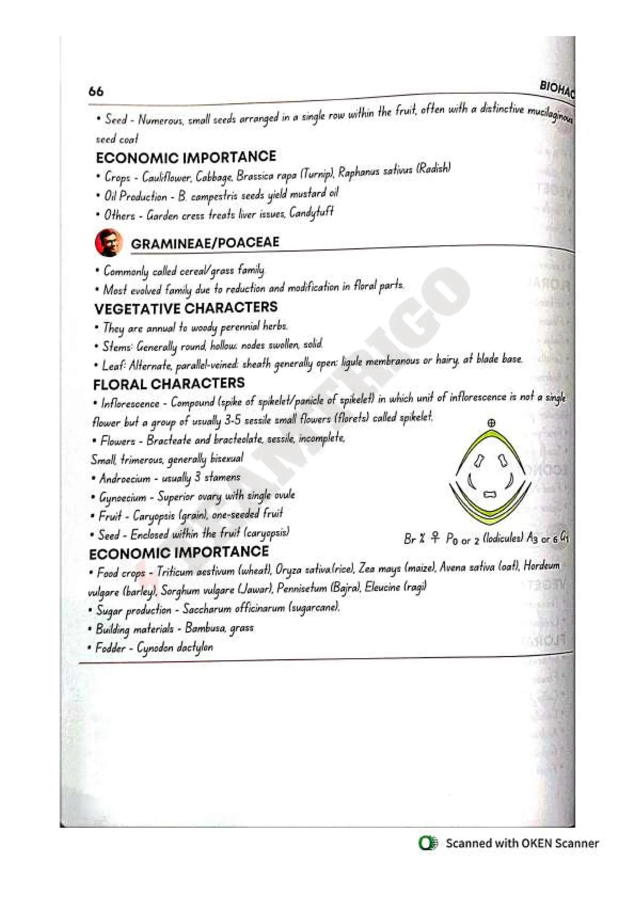 Biohack- class 11 and 12 NEET Parth Goyal