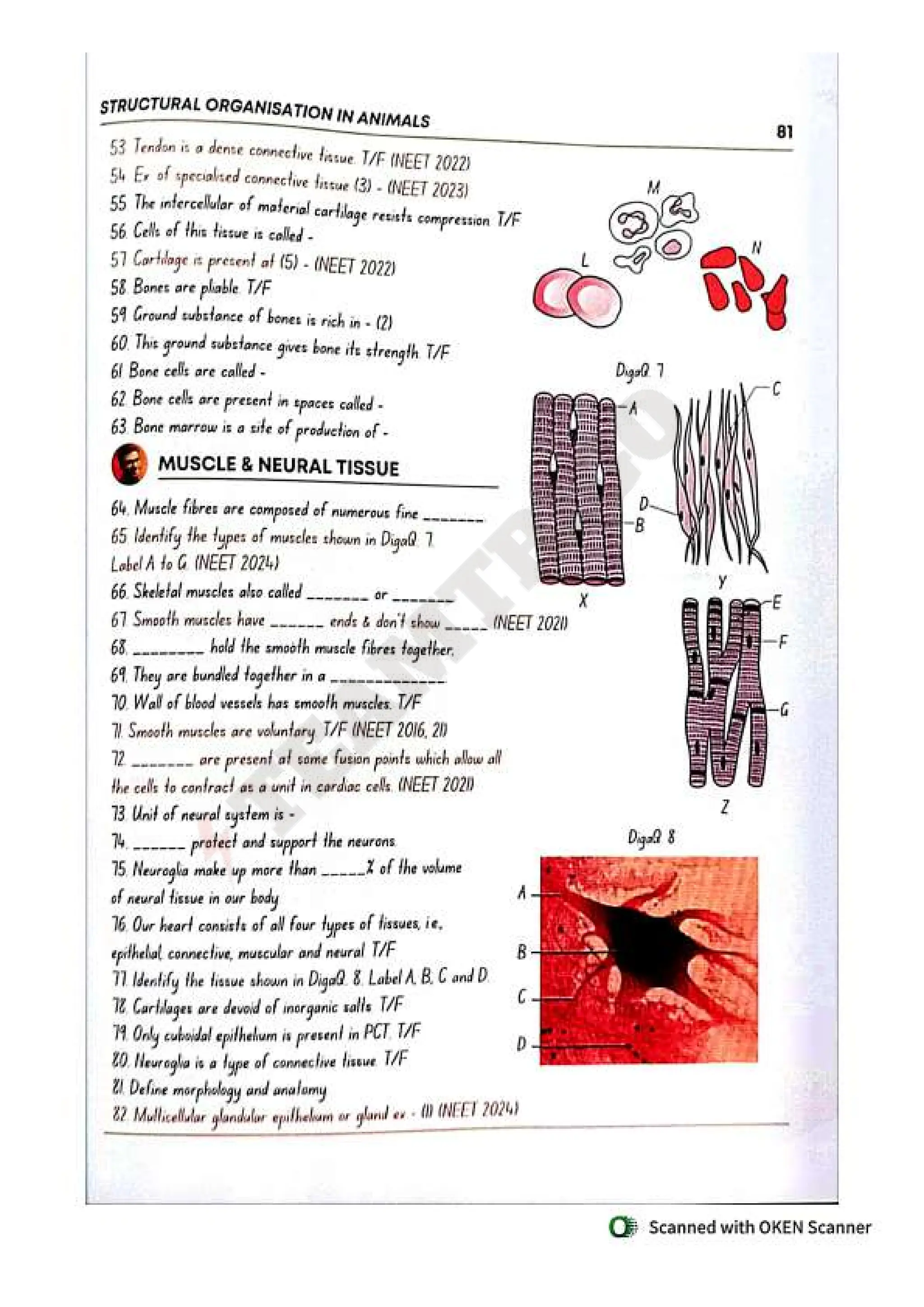 Biohack- class 11 and 12 NEET Parth Goyal