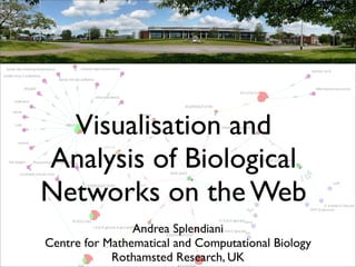 Visualisation and
Analysis of Biological
Networks on the Web
                Andrea Splendiani
Centre for Mathematical and Computational Biology
            Rothamsted Research, UK
 