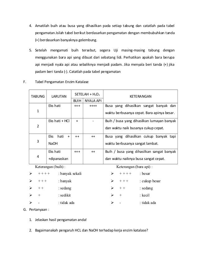 Enzim Katalase Dan Tanaman Hydillia