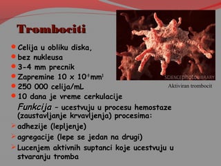 TrombocitiTrombociti
Celija u obliku diska,
bez nukleusa
3-4 mm precnik
Zapremine 10 x 10-9
mm3
250 000 celija/mL
10 dana je vreme cerkulacije
FunkcijaFunkcija – ucestvuju u procesu hemostaze
(zaustavljanje krvavljenja) procesima:
adhezije (lepljenje)
agregacije (lepe se jedan na drugi)
Lucenjem aktivnih suptanci koje ucestvuju u
stvaranju tromba
Aktiviran trombocit
 
