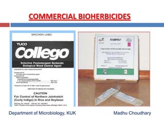 COMMERCIAL BIOHERBICIDES
Department of Microbiology, KUK Madhu Choudhary
 