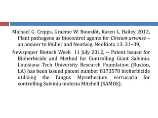 Michael G. Cripps, Graeme W. Bourdôt, Karen L. Bailey 2012,
Plant pathogens as biocontrol agents for Cirsium arvense –
an answer to Müller and Nentwig. NeoBiota 13: 31–39,
Newspaper Biotech Week 11 July 2012, -- Patent Issued for
Bioherbicide and Method for Controlling Giant Salvinia.
Louisiana Tech University Research Foundation (Ruston,
LA) has been issued patent number 8173578 bioherbicide
utilizing the fungus Myrothecium verrucaria for
controlling Salvinia molesta Mitchell (SAMOS).
 