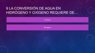 9 LA CONVERSIÓN DE AGUA EN
HIDRÓGENO Y OXÍGENO REQUIERE DE…
Enzimas
Nitrógeno
 